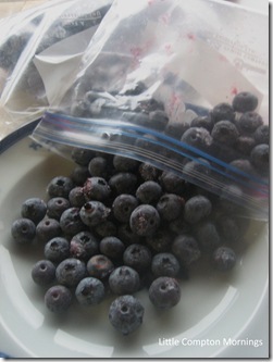 blueberry frozen2 copy