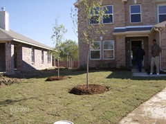 Picture 013