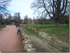 Parque