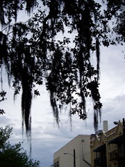 P3050145