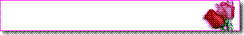 showbanner