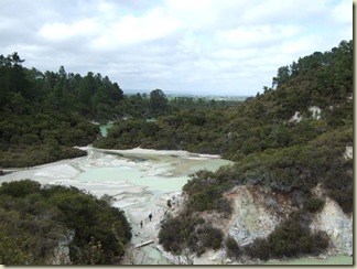 rotorua19