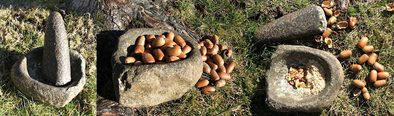 Acorn flour