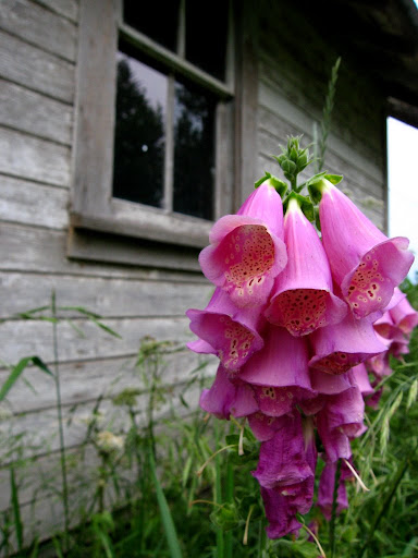 http://lh5.google.com/noel.hastings/RNDnVxWlABI/AAAAAAAAArI/V31y8rW9uYk/IMG_0022.JPG
