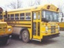 School Buses