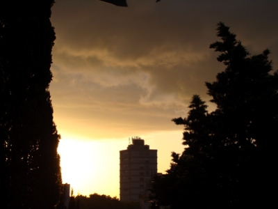 DSC00742.jpg