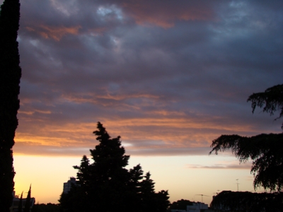 DSC00777.jpg