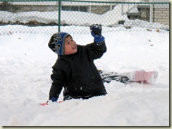 IMG_0202-1
