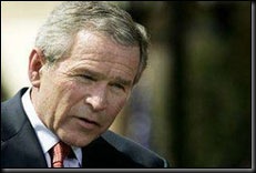 bush