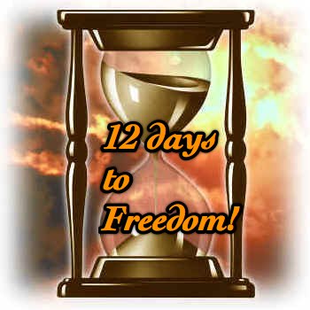 12 days to freedom.jpg