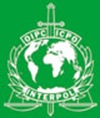 sg03-green